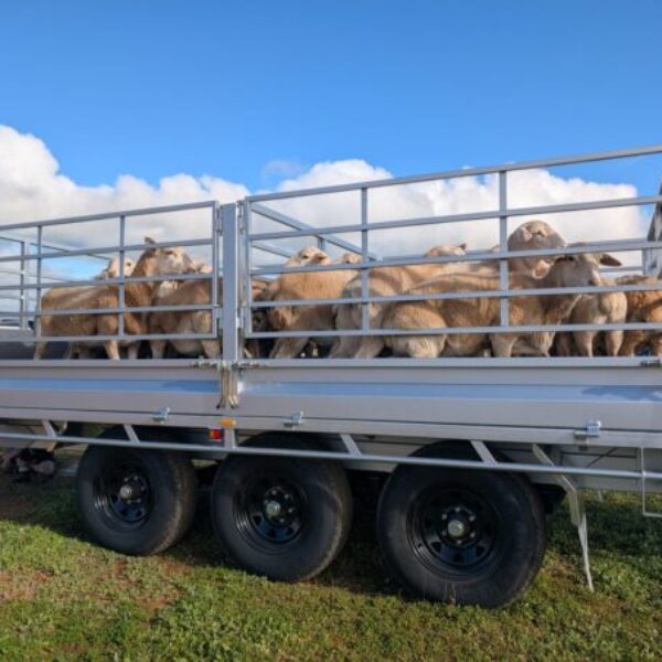 4000mm Tipping Trailer 3.5 Tonne